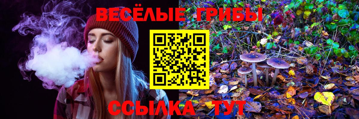 Галлюциногенные грибы GOLDEN TEACHER  купить наркотики цена  Ивантеевка  Вход с VPN  Галлюциногенные грибы Cubensis 